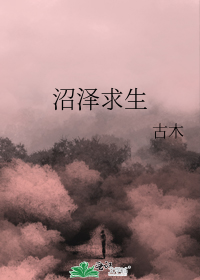 我本将心向明月